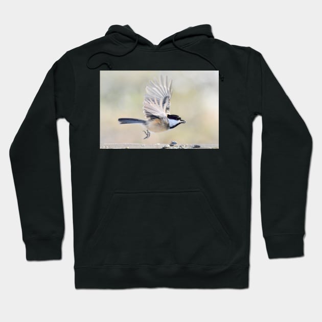 Chickadee departure Hoodie by LaurieMinor